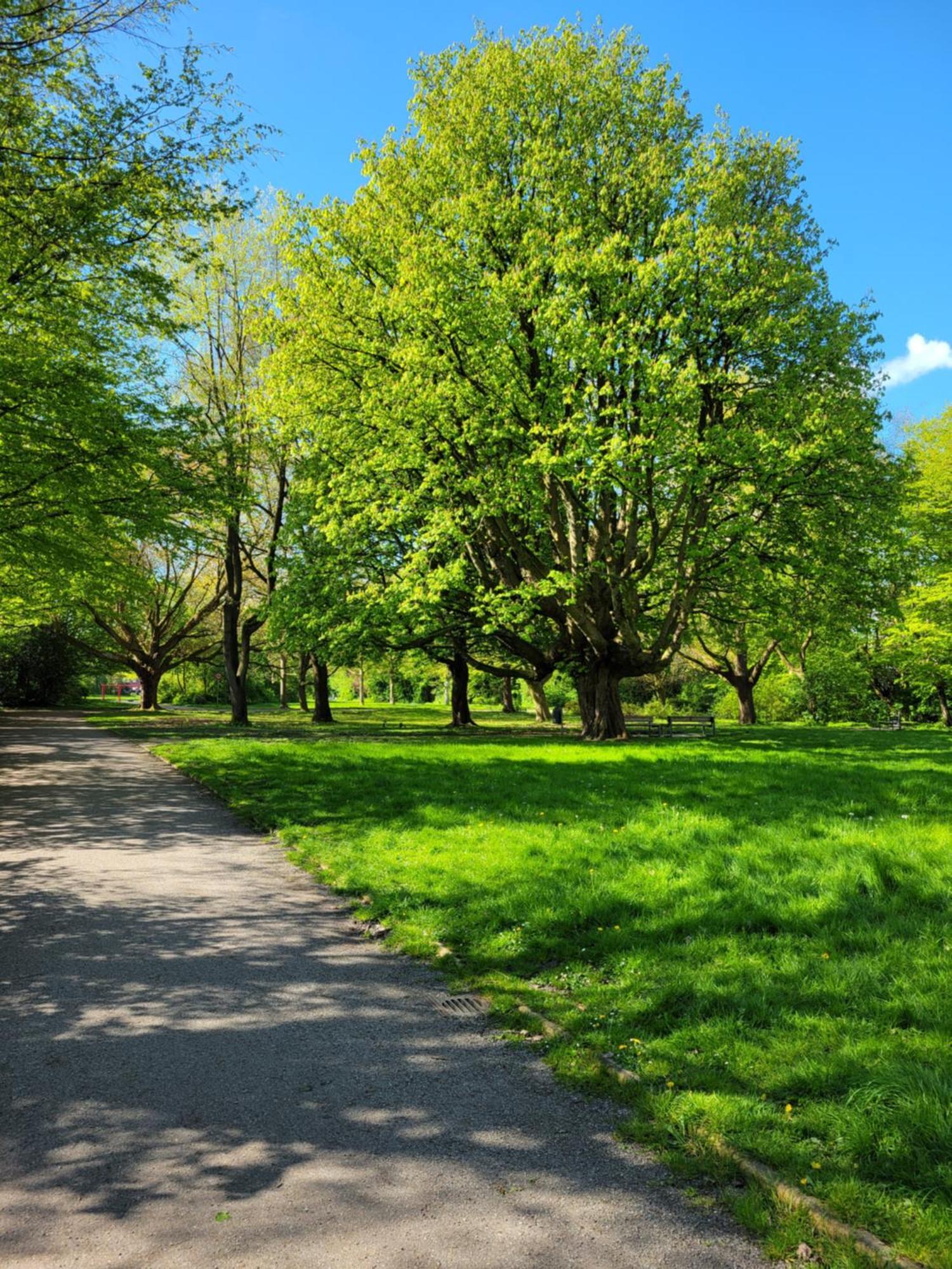 Ferienwohnungen Am Park Вилхелмсхафен Екстериор снимка