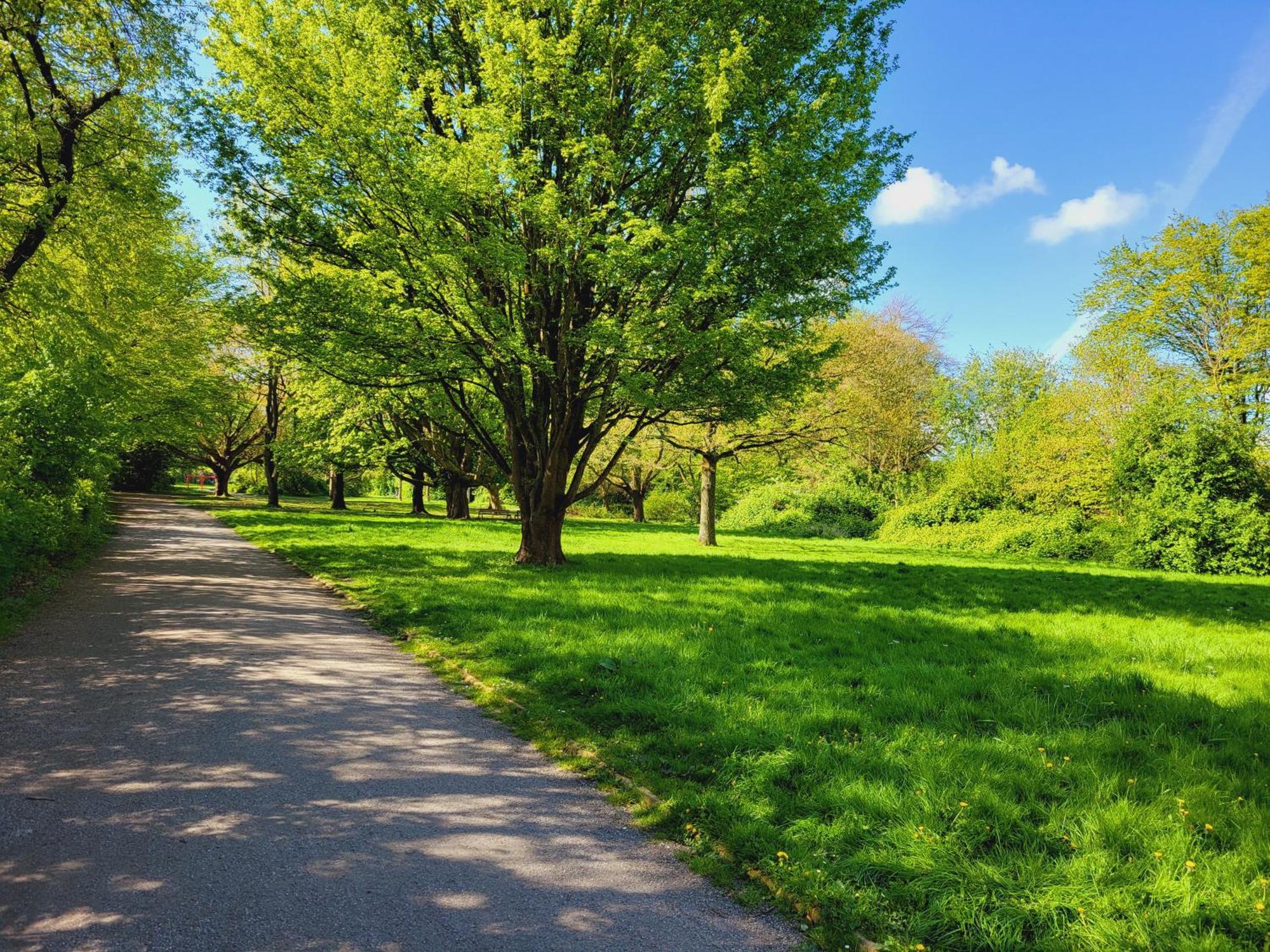 Ferienwohnungen Am Park Вилхелмсхафен Екстериор снимка