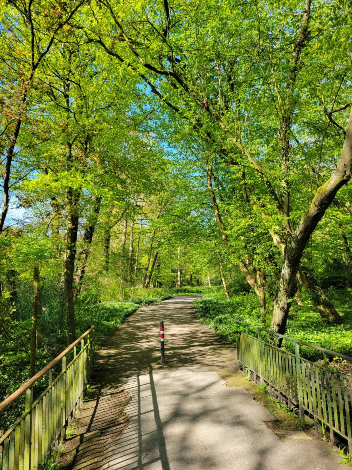 Ferienwohnungen Am Park Вилхелмсхафен Екстериор снимка