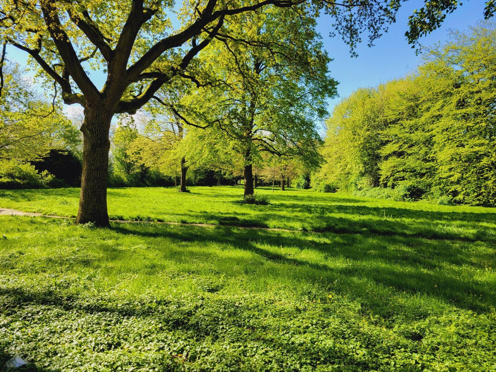 Ferienwohnungen Am Park Вилхелмсхафен Екстериор снимка